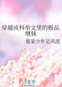 穿成科举文女主对照