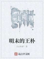 明末王在晋战略