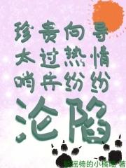 好看的向导哨兵