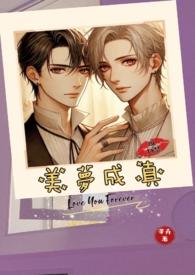 美梦成真1.0全文阅读