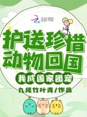 我成了国家团宠