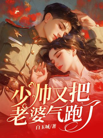 少帅你老婆又跑了是悲剧么