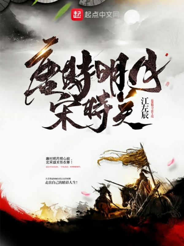 唐时明月宋时关大结局