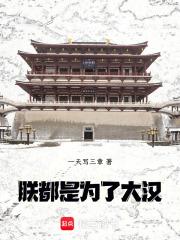 都是为了大汉!无错版