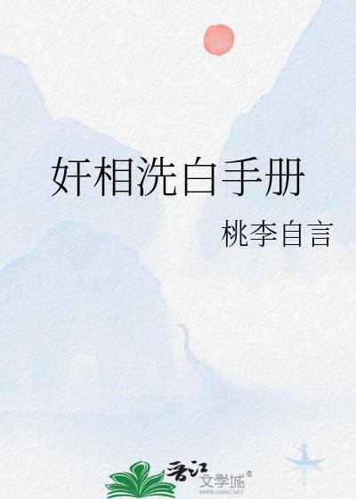 洗白手册什么意思