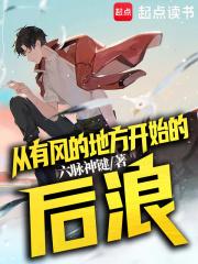 从有风的地方开始的后浪篱笆好文学六脉神鉴