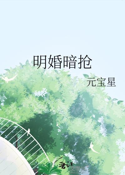明婚暗抢txt元宝星