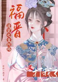 清穿阿哥的福晋