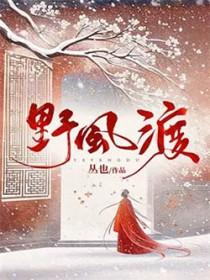 野风渡无错