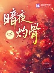 暗夜免费阅读全文