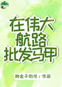 海贼王中伟大航路是什么