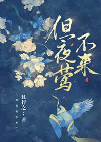 夜莺不来 夜莺不来