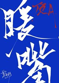 豪门aa制免费阅读