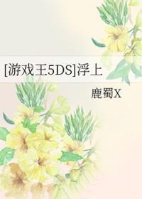 游戏王5ds1