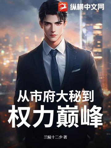 从市府大秘到权力巅峰最新更新内容