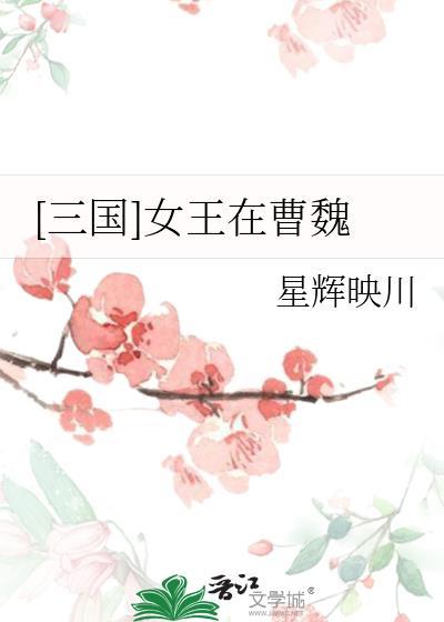 三国之曹魏女婿