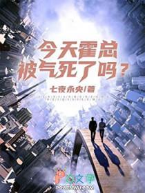 霍少今天退婚吗