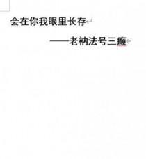 会在你我眼里长存 老衲法号三癫
