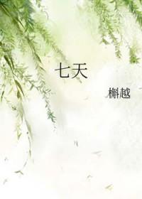 七天学堂 成绩查询免费入口