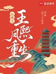 穿越王熙凤重生贾琏