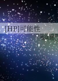 可能性是什么意思