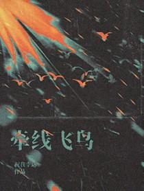 牵线飞鸟质连生