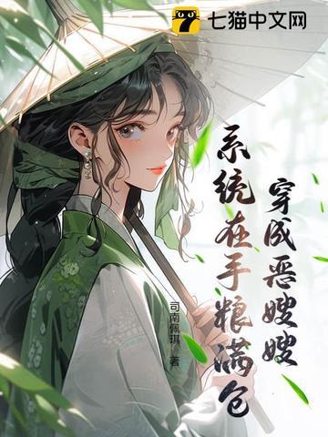 穿越之恶嫂手册txt