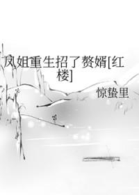红楼梦凤姐重生文