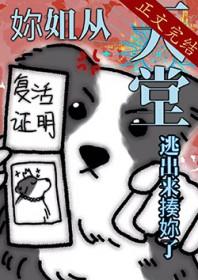 综英美你姐成功从天堂逃出来揍你了免费阅读番外