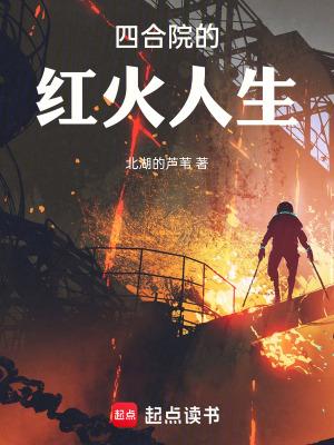 四合院的红火人生手打