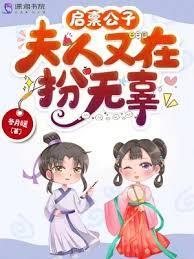 夫人又跑了全文免费阅读