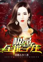 极品全能高手TXT免费