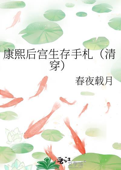 康熙后妃生育排名