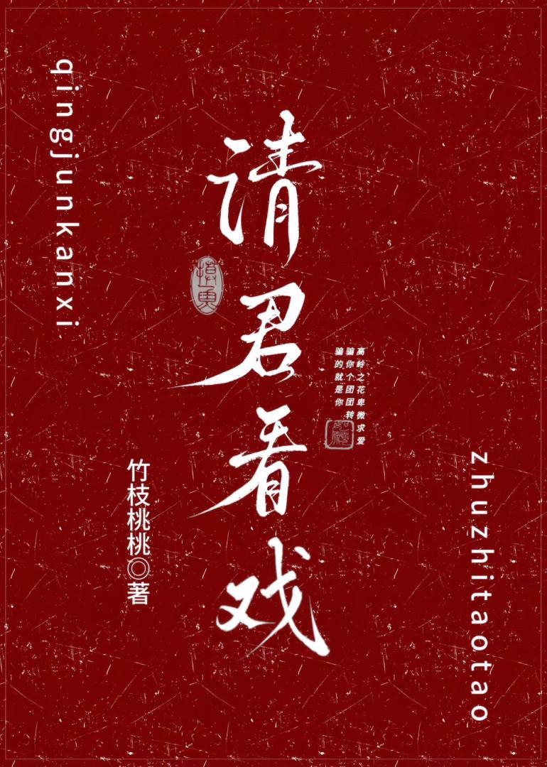 请君更看戏中戏