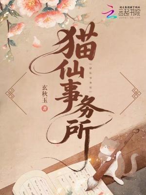 猫的事务所讲的是什么