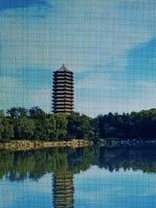 鸿缘微科技有限公司