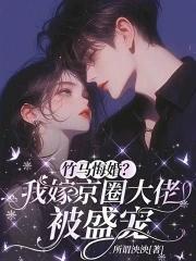 竹马悔婚?我嫁京圈大佬被盛宠 所谓泱泱