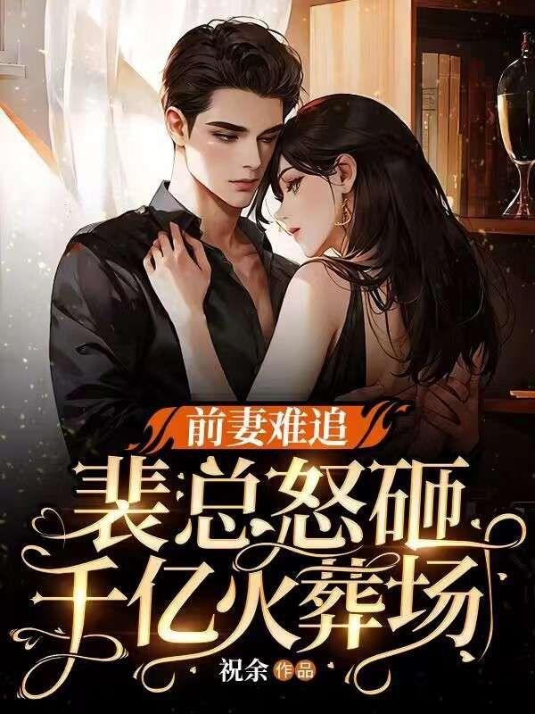 前妻太难训免费阅读