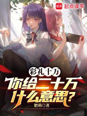 你给二十万什么意思呀