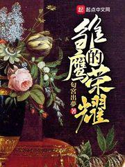 雏鹰的荣耀同人