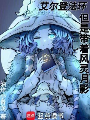 艾尔登法环但是带着风灵月影无防盗