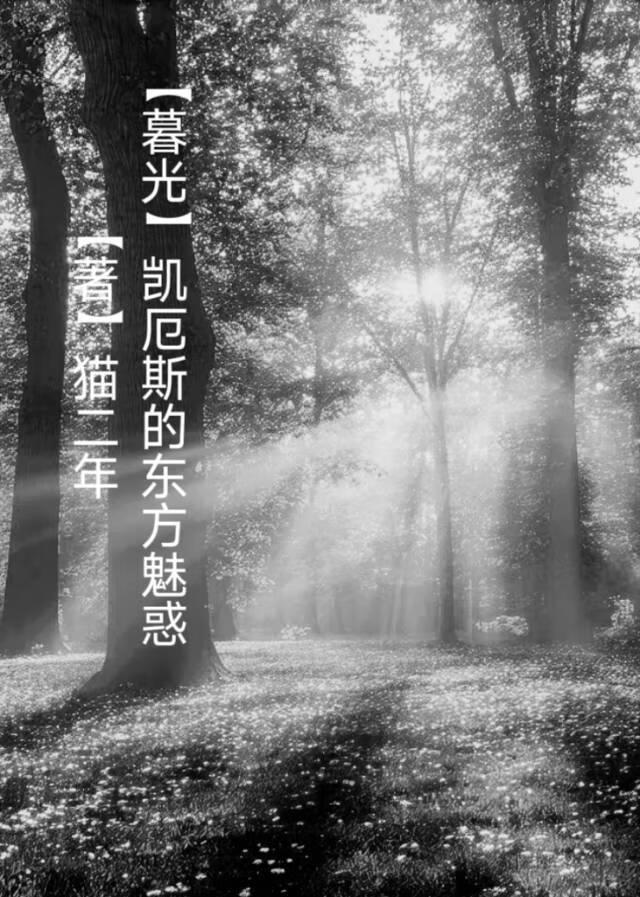 暮光凯厄斯能力