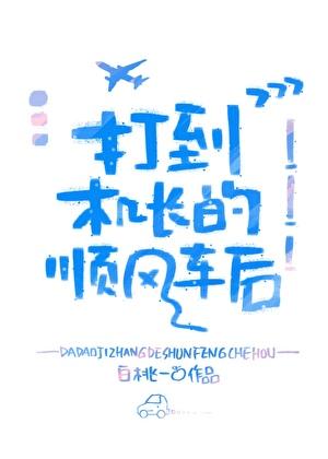 顺风车长途司机