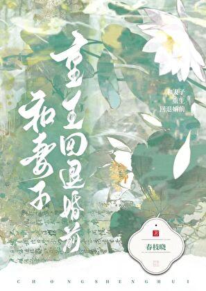 和妻子重生回退婚前TXT