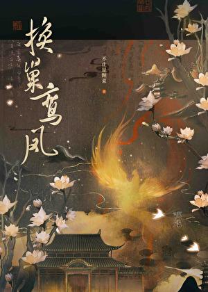 换巢鸾凤免费阅读无防盗