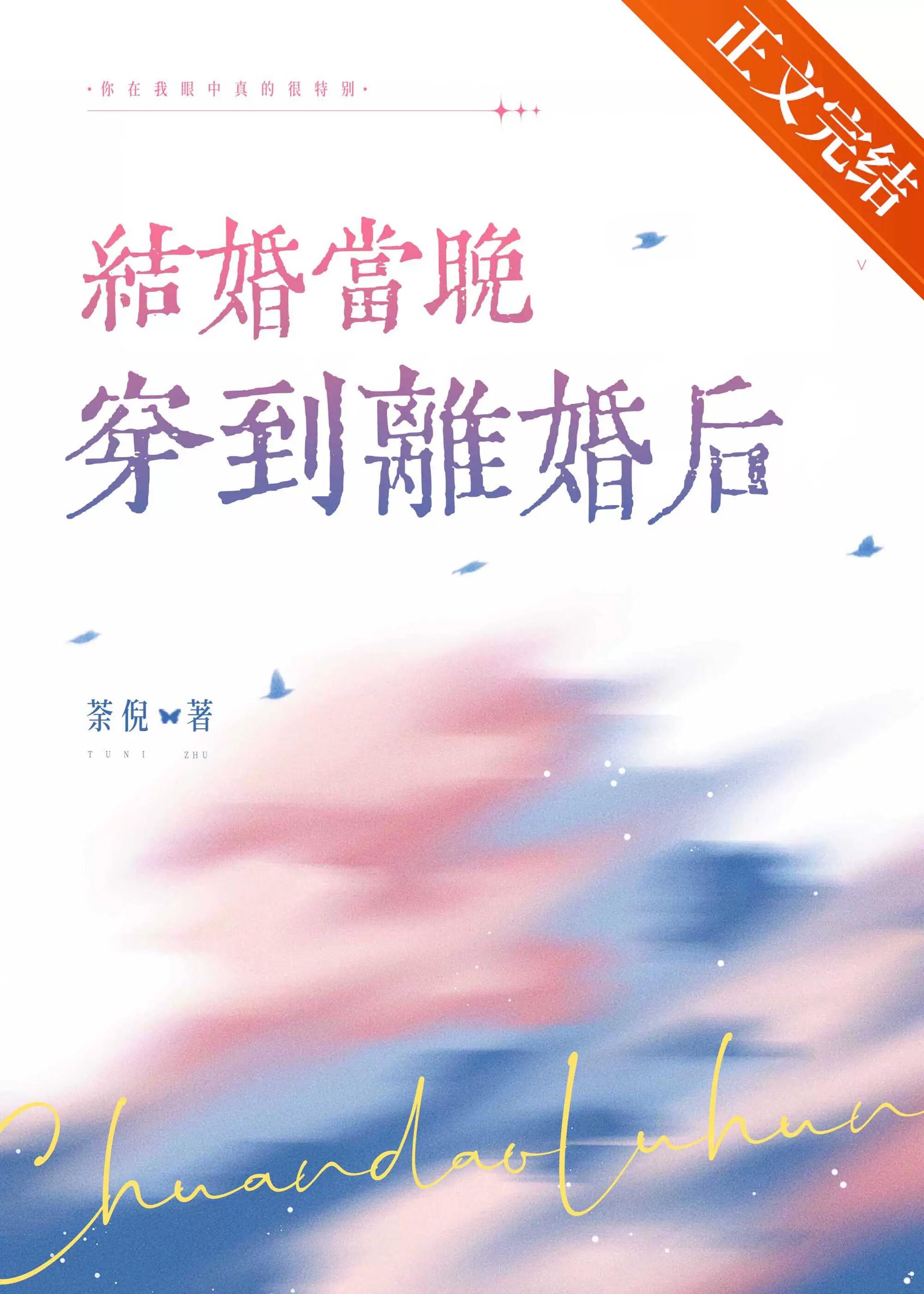 结婚当晚穿到离婚后全文番外