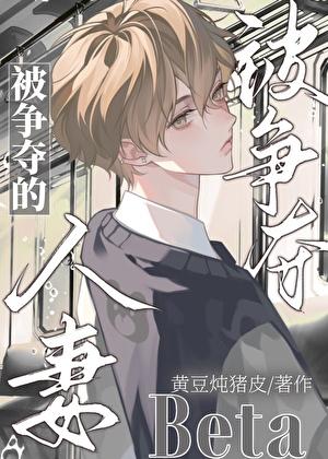 被争夺的人妻beta免费笔趣阁