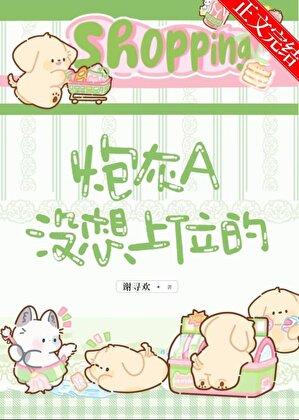 心机炮灰上位手册