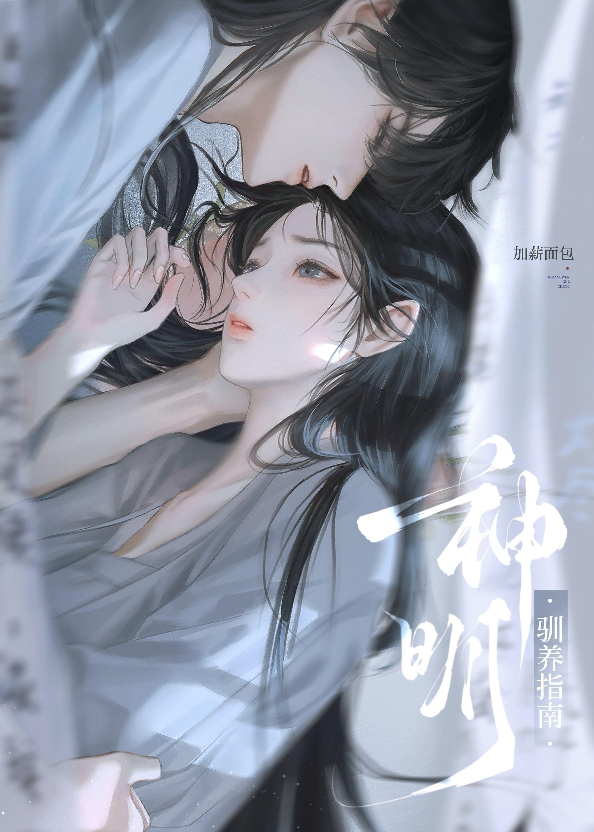 神明驯养指南加薪面包txt百度资源链接