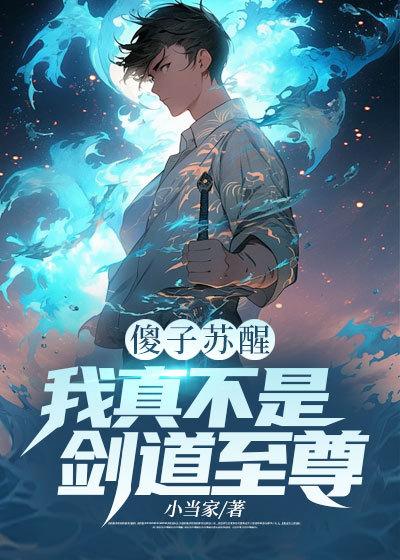 傻子苏醒我真不是剑道至尊免费